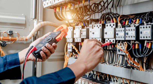Best Ceiling Fan Installation Electrician  in Mayville, NY